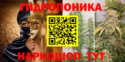 a pvp Пушкино