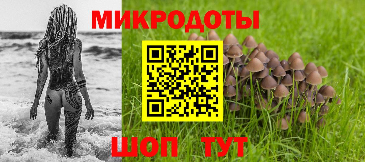 Псилоцибиновые грибы Psilocybine cubensis  Галлюциногенные грибы Psilocybine cubensis  Вход с VPN  Славянск-на-Кубани 
